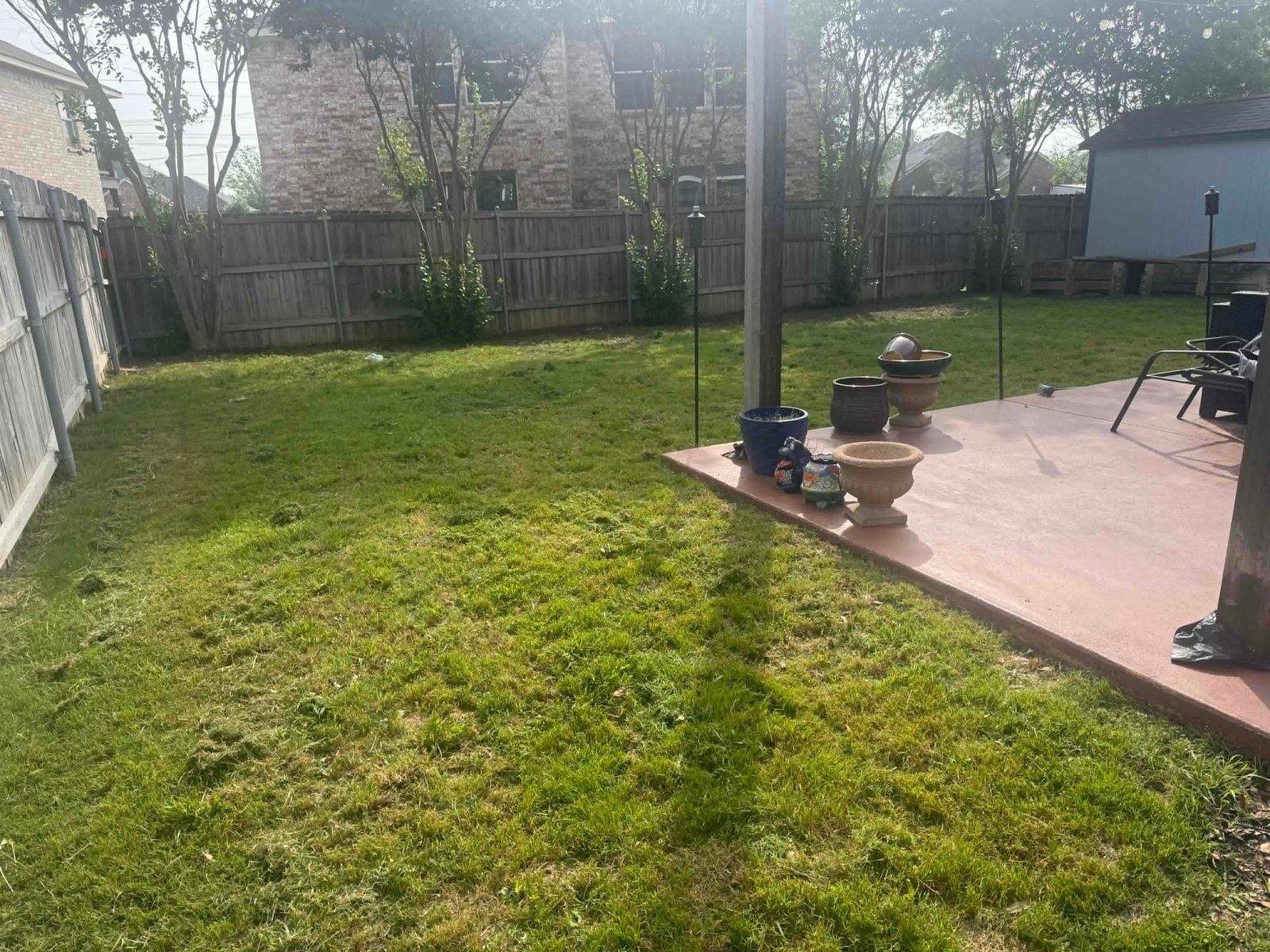 Cleanly mowed residential back yard after service
