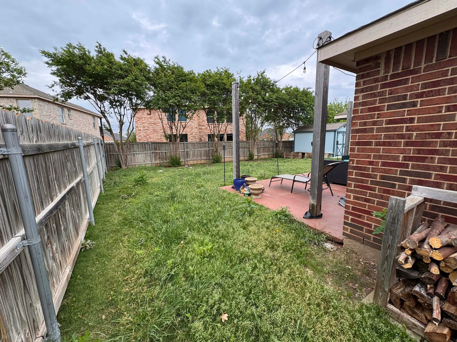 Overgrown side yard with tall weeds before service